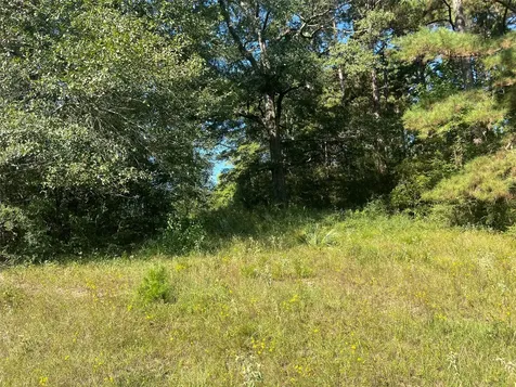 000 Hardy Bottom Road Huntsville TX 77340