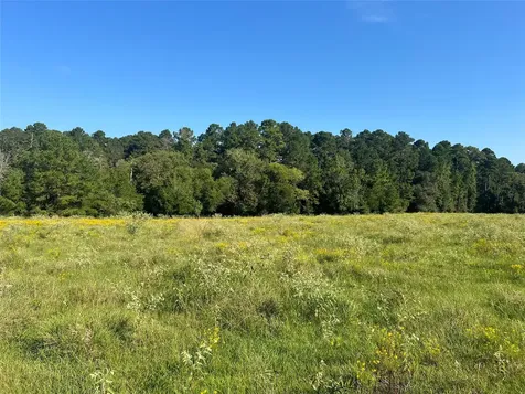 000 Hardy Bottom Road Huntsville TX 77340