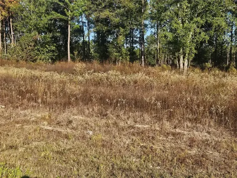 8026 Road 5891 Cleveland TX 77327