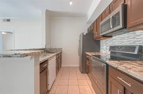 4515 Briar Hollow Place 305 Houston TX 77027