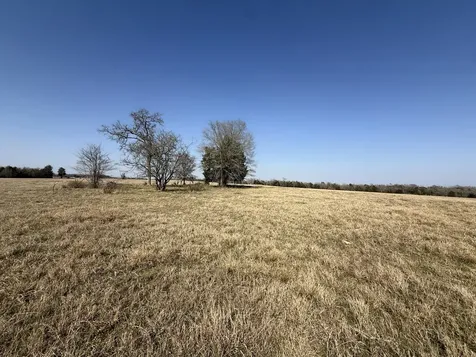 Tbd Tract 2 Fcr 510 Fairfield TX 75840