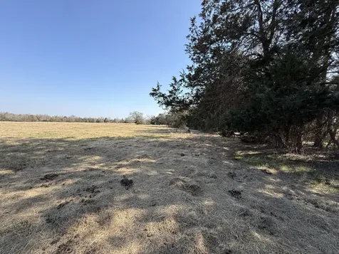 Tbd Tract 2 Fcr 510 Fairfield TX 75840