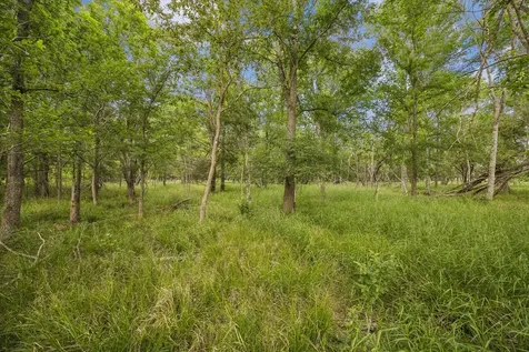 5000 B Brewer Road Sealy TX 77474