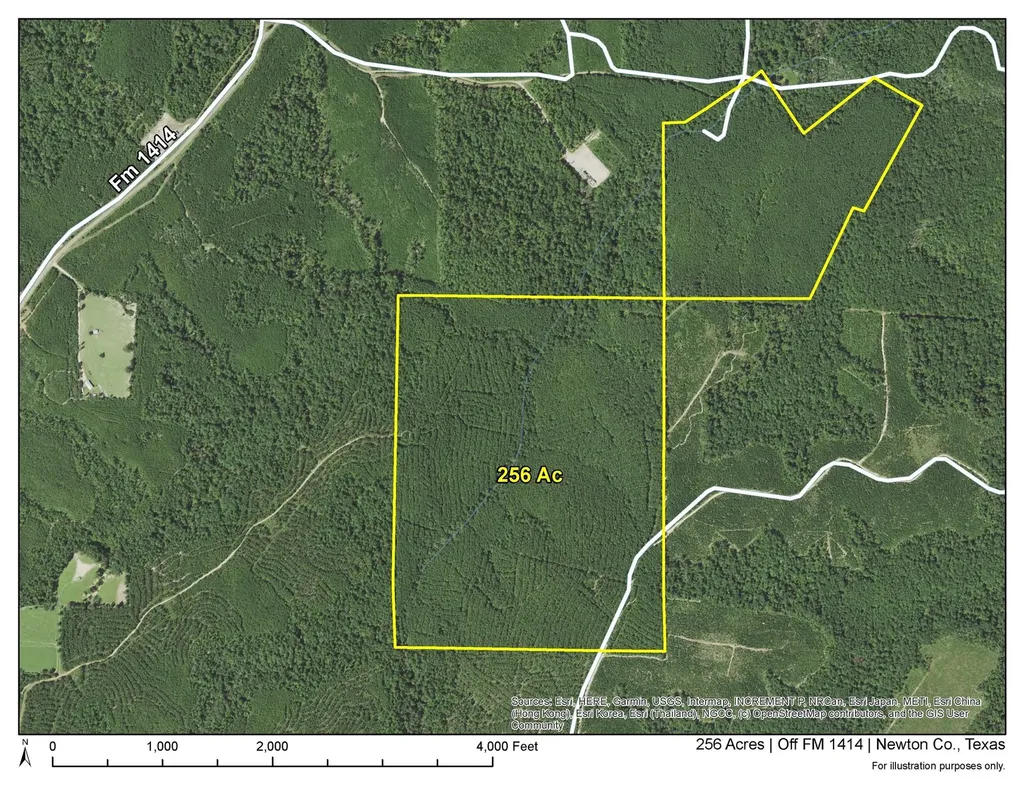 2 Off Fm 1414 Burkeville TX 75966
