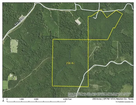 2 Off Fm 1414 Burkeville TX 75966