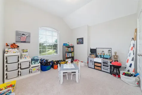 12043 Tree Top Hills Lane Tomball TX 77377