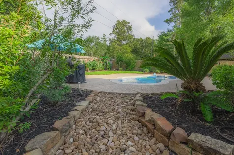 10 Delphinium Place The Woodlands TX 77382