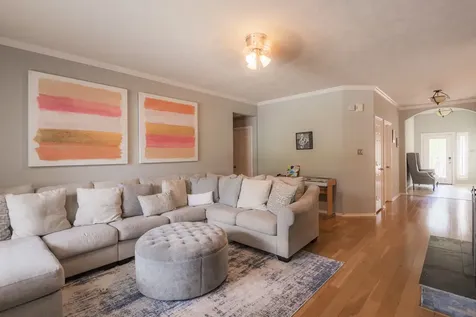 10 Delphinium Place The Woodlands TX 77382