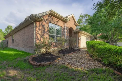 10 Delphinium Place The Woodlands TX 77382