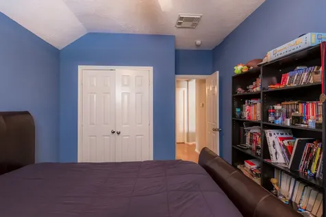 10 Delphinium Place The Woodlands TX 77382