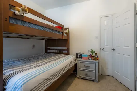 10 Delphinium Place The Woodlands TX 77382