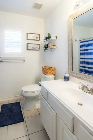 10 Delphinium Place The Woodlands TX 77382