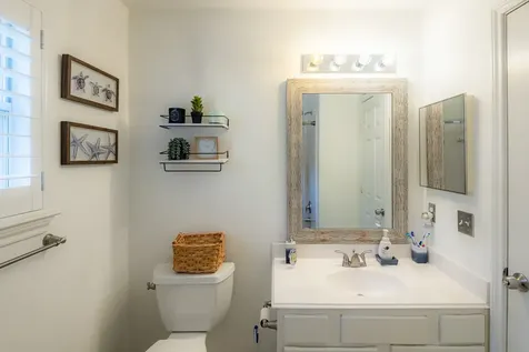 10 Delphinium Place The Woodlands TX 77382