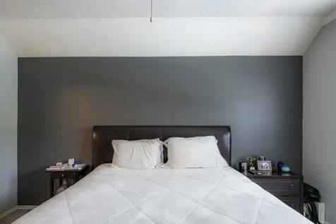 10 Delphinium Place The Woodlands TX 77382