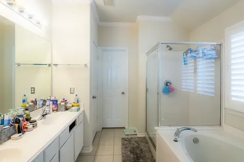 10 Delphinium Place The Woodlands TX 77382