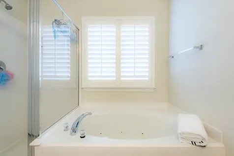 10 Delphinium Place The Woodlands TX 77382