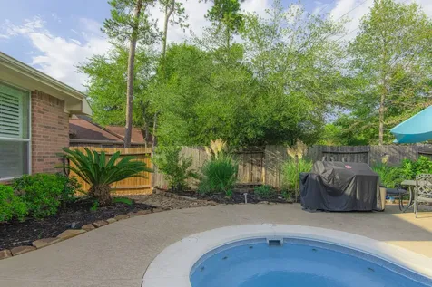 10 Delphinium Place The Woodlands TX 77382
