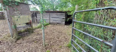 324 E Second Street Groveton TX 75845
