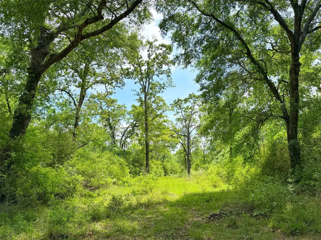 100 Ac Cr 408 Normangee TX 77871