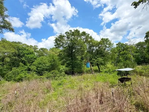 100 Ac Cr 408 Normangee TX 77871