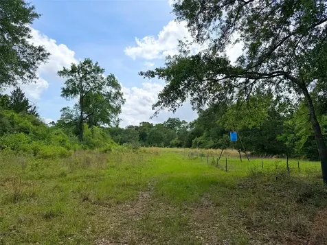 100 Ac Cr 408 Normangee TX 77871