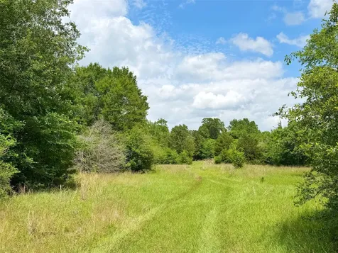 100 Ac Cr 408 Normangee TX 77871