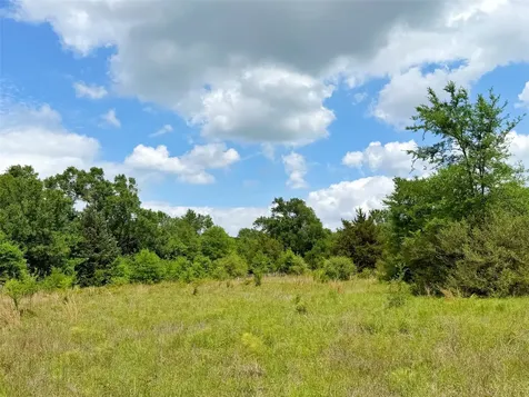 100 Ac Cr 408 Normangee TX 77871