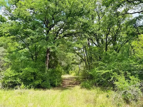 100 Ac Cr 408 Normangee TX 77871
