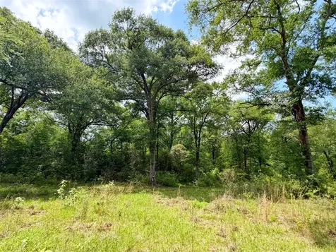 100 Ac Cr 408 Normangee TX 77871