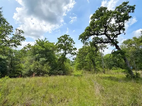 100 Ac Cr 408 Normangee TX 77871