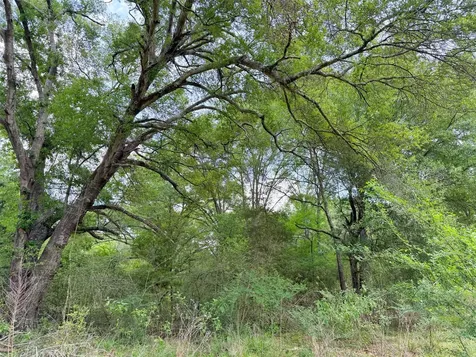 100 Ac Cr 408 Normangee TX 77871