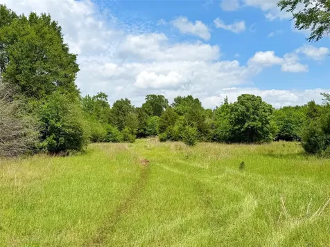 100 Ac Cr 408 Normangee TX 77871