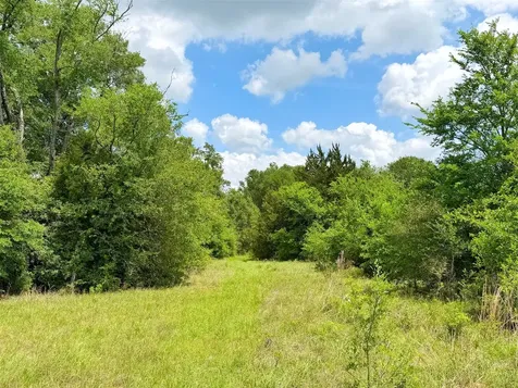 100 Ac Cr 408 Normangee TX 77871