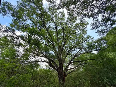100 Ac Cr 408 Normangee TX 77871