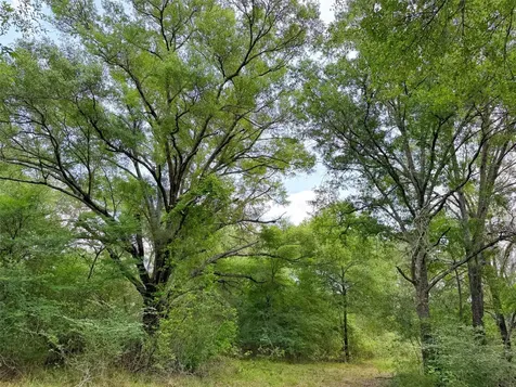 100 Ac Cr 408 Normangee TX 77871