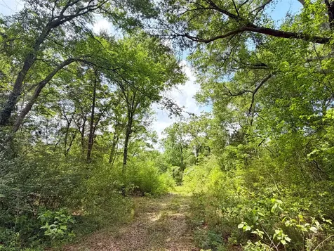 100 Ac Cr 408 Normangee TX 77871