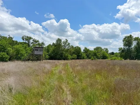 100 Ac Cr 408 Normangee TX 77871