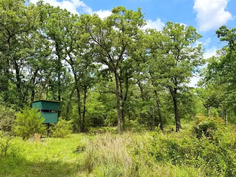 100 Ac Cr 408 Normangee TX 77871