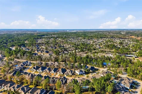 318 Calmato Woods Way Conroe TX 77318
