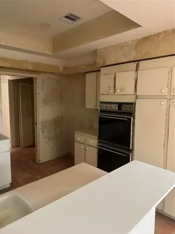 100 Litchfield Lane Houston TX 77024