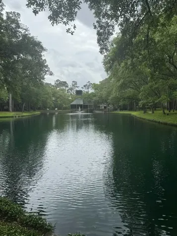 100 Litchfield Lane Houston TX 77024