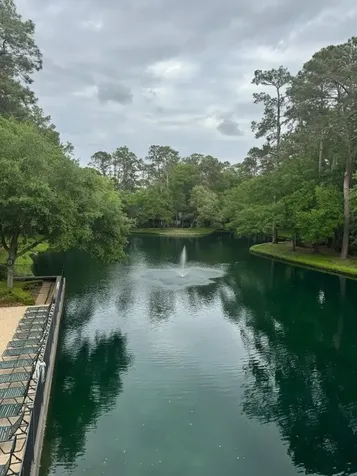 100 Litchfield Lane Houston TX 77024