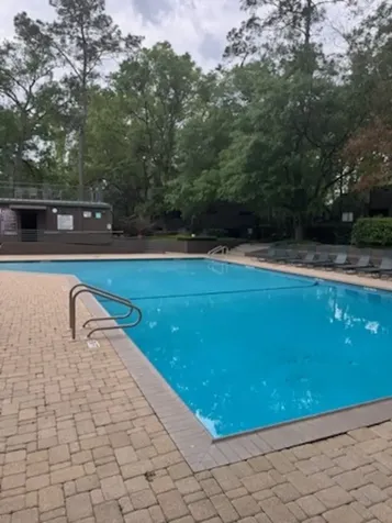 100 Litchfield Lane Houston TX 77024