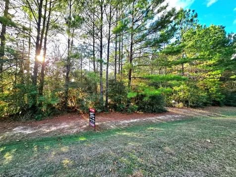 28046 Crossway Oaks Magnolia TX 77355