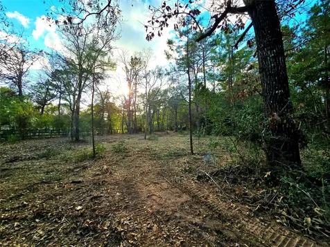 28046 Crossway Oaks Magnolia TX 77355
