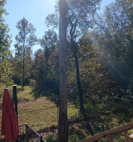 14617 Gibbs Pipeline Road Willis TX 77378