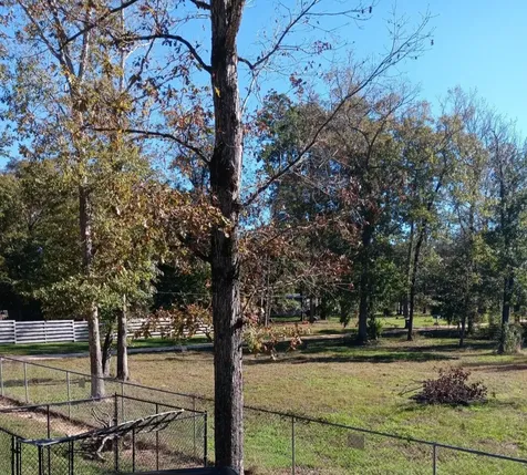 14617 Gibbs Pipeline Road Willis TX 77378
