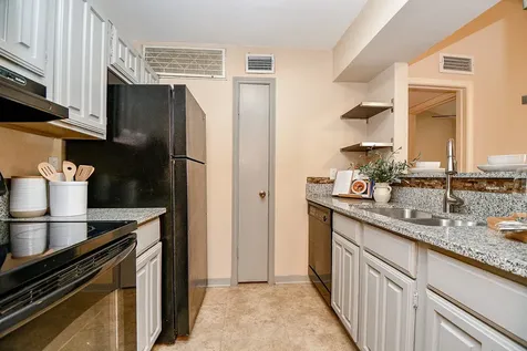 3500 Tangle Brush Drive 14 The Woodlands TX 77381
