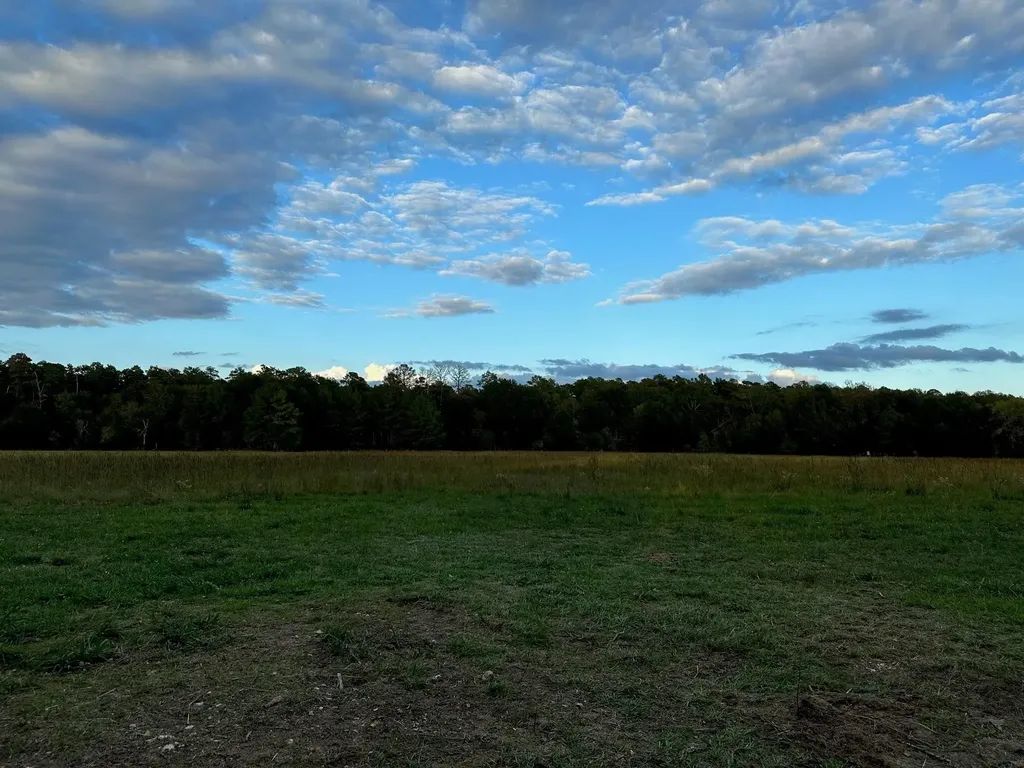0000 Magee Bend Loop Groveton TX 75845