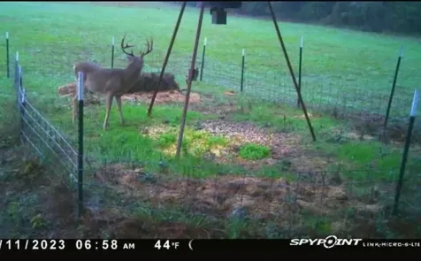 0000 Magee Bend Loop Groveton TX 75845